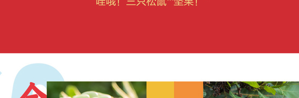 三只松鼠松果礼_06.jpg